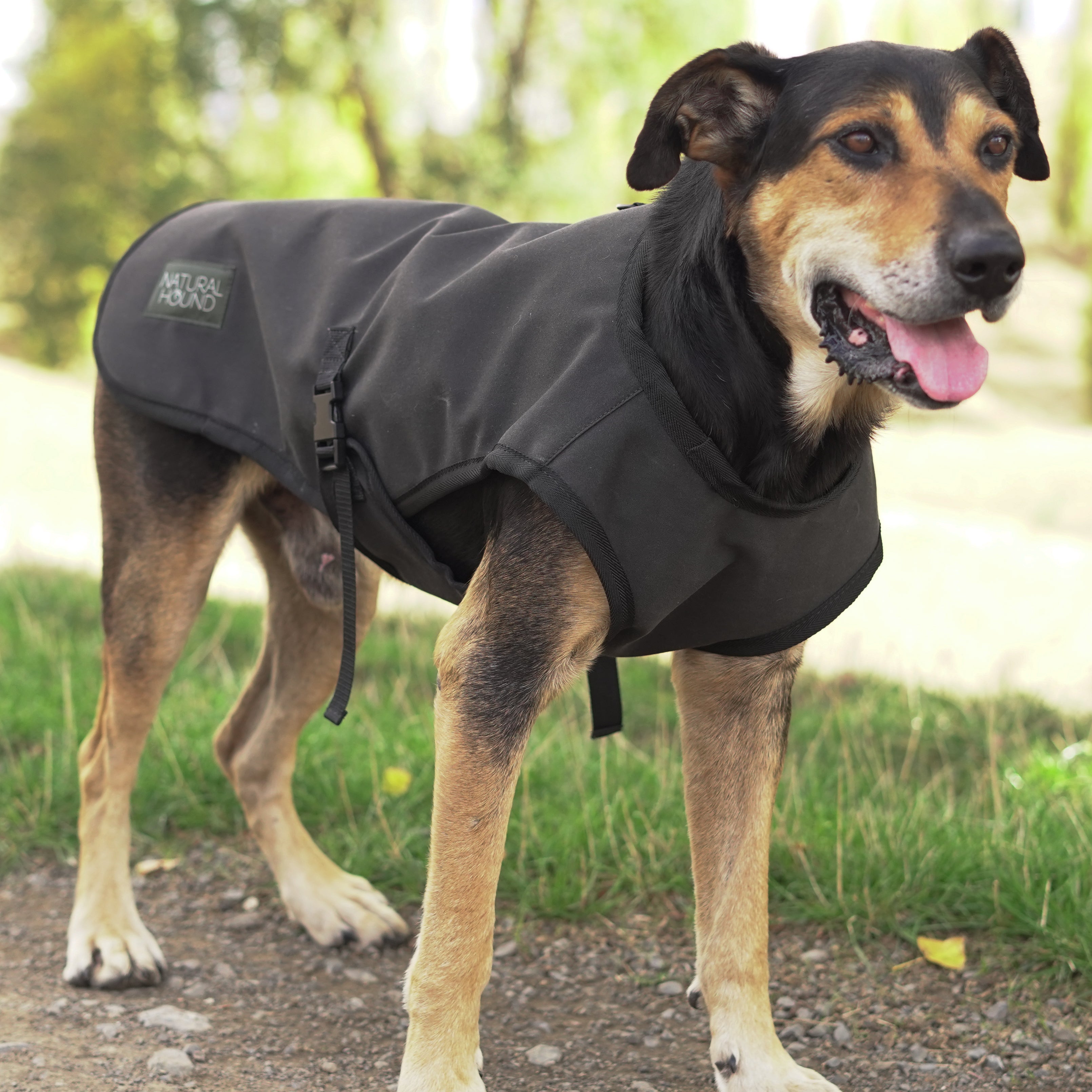 Venture outerwear fashion dog coat