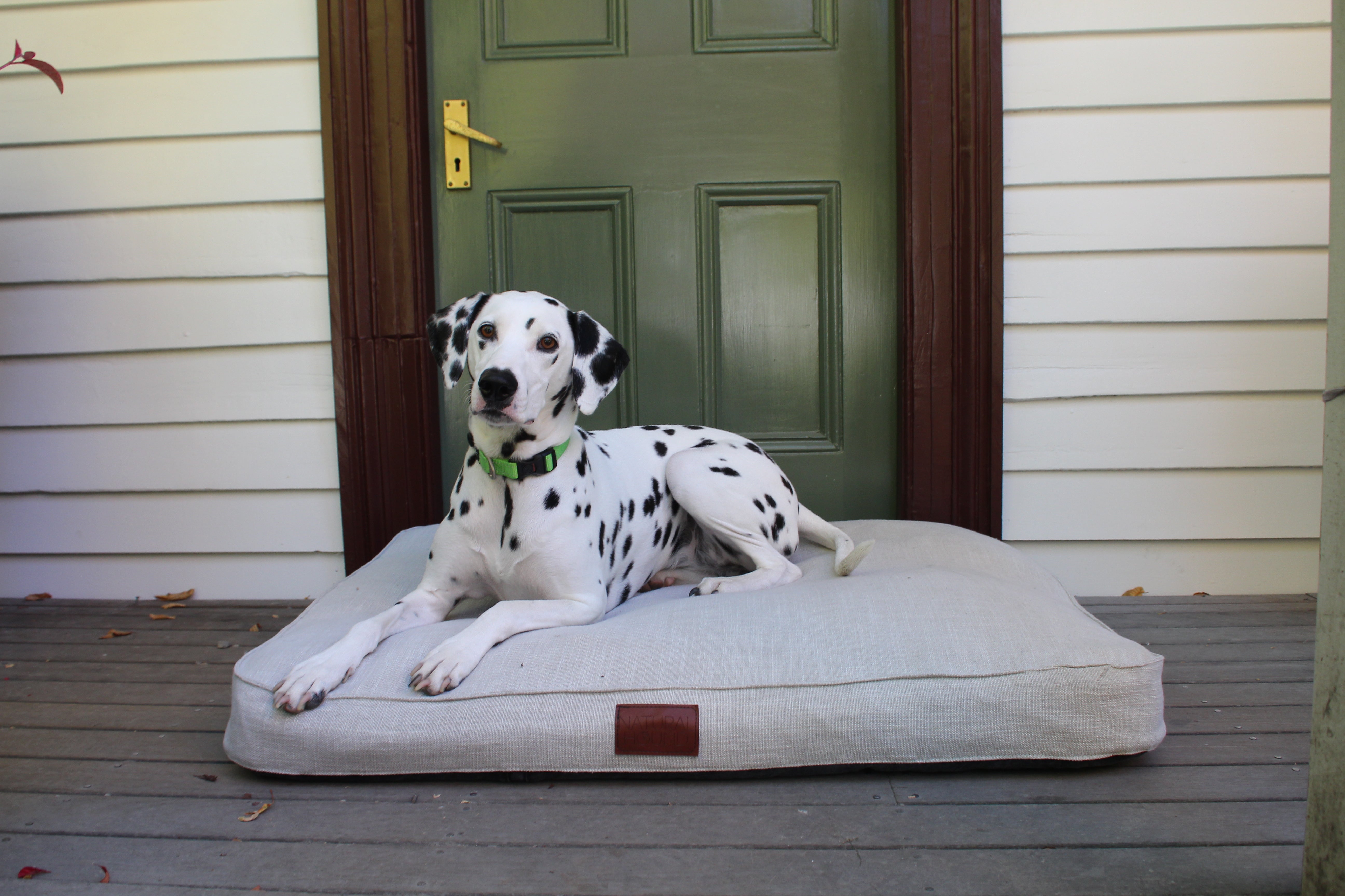 Buy a mattress get one for your dog hotsell