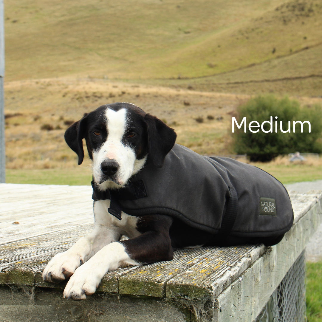 Dog Coats NZ Kiwi Made Dog Jackets Natural Hound