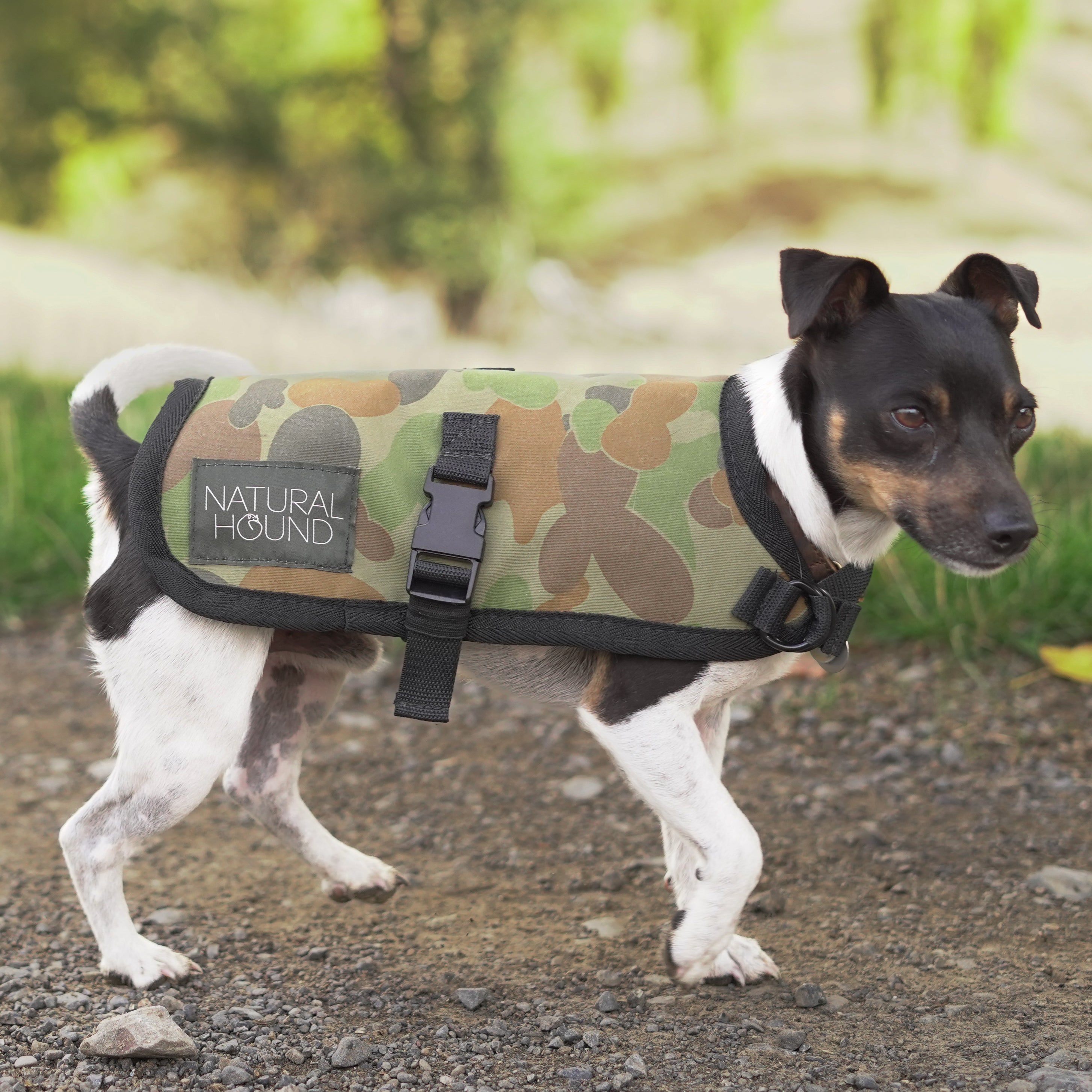 Camo dog coat best sale